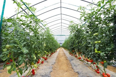 基地春耕忙，彩食鮮訂單農(nóng)業(yè)迎蓬勃發(fā)展