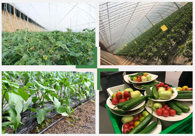 智能科技賦能，百譽農業引領園區現代化新篇章